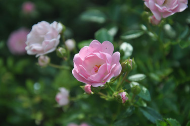 Similar image 21024698