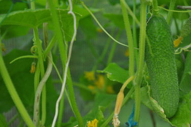 Similar image 21024699