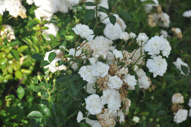 Similar image 21024812