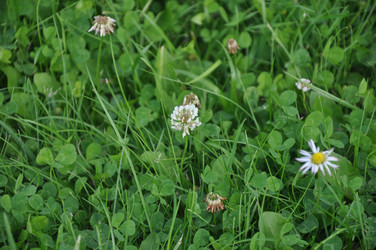 Similar image 21025440