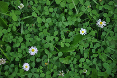 Similar image 21025441