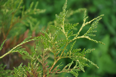 Similar image 21024813