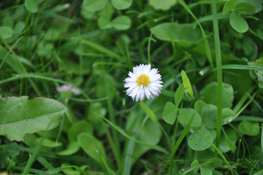 Similar image 21024815