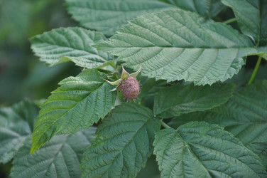 Similar image 21023780