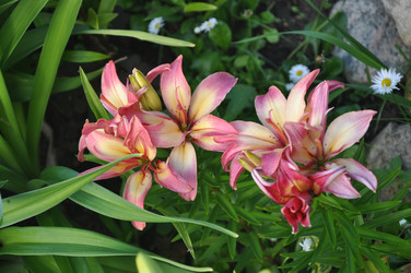 Similar image 21023781