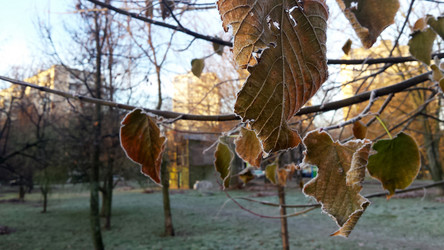 Similar image 21023782