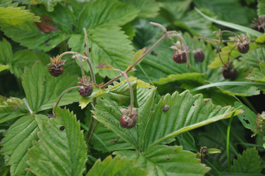 Similar image 21023785