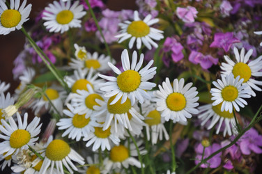 Similar image 21023786