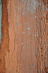 Similar image 21023787