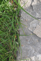 Similar image 21023788