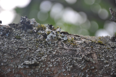 Similar image 21023789