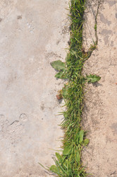 Similar image 21023917