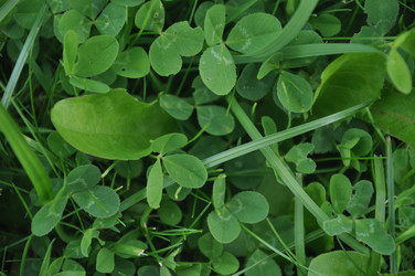 Similar image 21023918