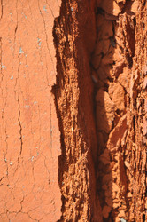 Similar image 21023920