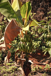 Similar image 21023921