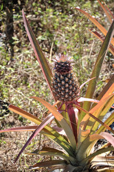 Similar image 21023922