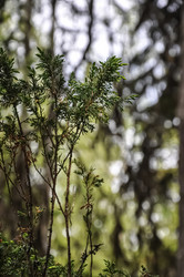 Similar image 21023924