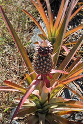 Similar image 21024053