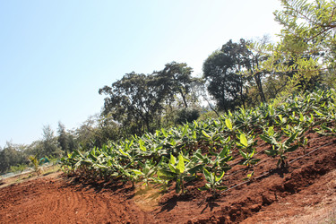 Similar image 21024054