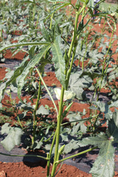 Similar image 21024058