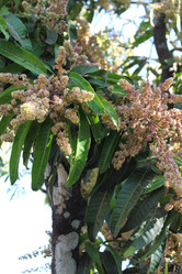 Similar image 21024061