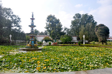 Similar image 21024062