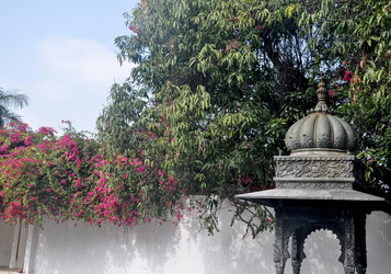 Similar image 21024063