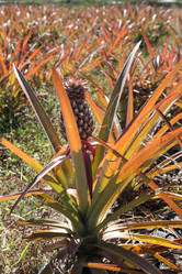 Similar image 21024067