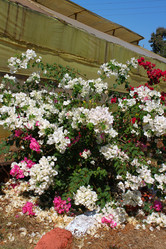 Similar image 21024069