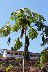 Similar image 21024070