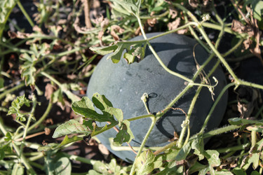 Similar image 21024286