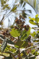 Similar image 21024287