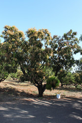 Similar image 21024288