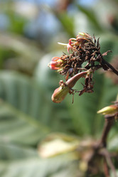 Similar image 21024584