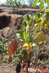 Similar image 21024585