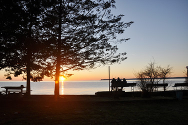 Similar image 21024703