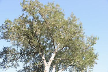 Similar image 21026601