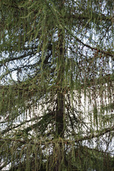 Similar image 21040992