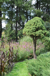 Similar image 21045224