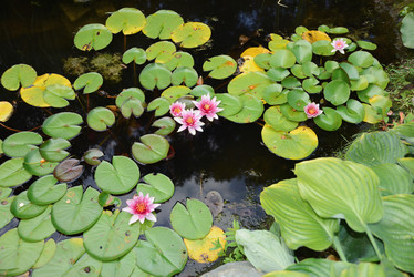 Similar image 21045891