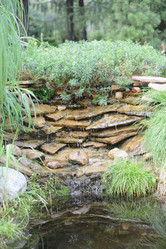 Similar image 21048010