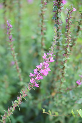 Similar image 21050437