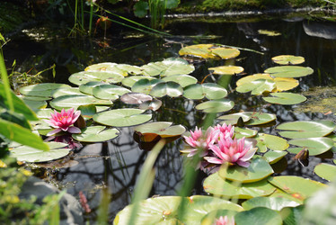 Similar image 21057741