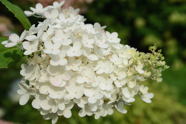 Similar image 21062529