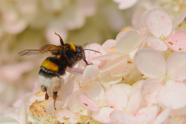 Similar image 21062530