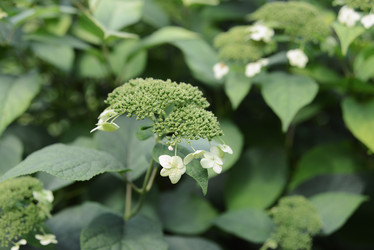 Similar image 21066262