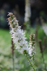 Similar image 21070005