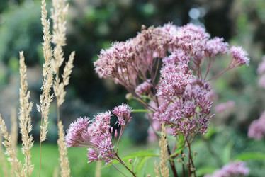 Similar image 21070575