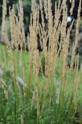 Similar image 21072015