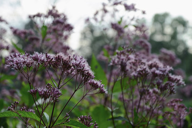 Similar image 21072737